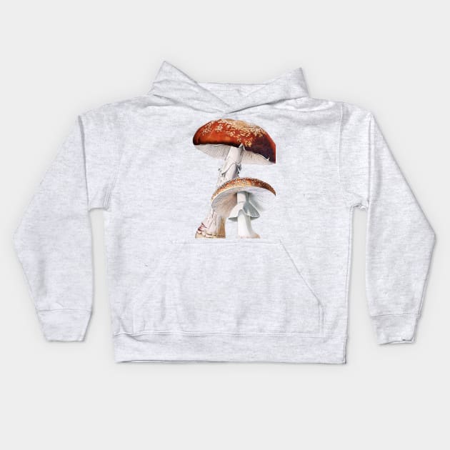 Amanita muscaria, Toadstool, Fly agaric, vintage illustration Kids Hoodie by SouthPrints